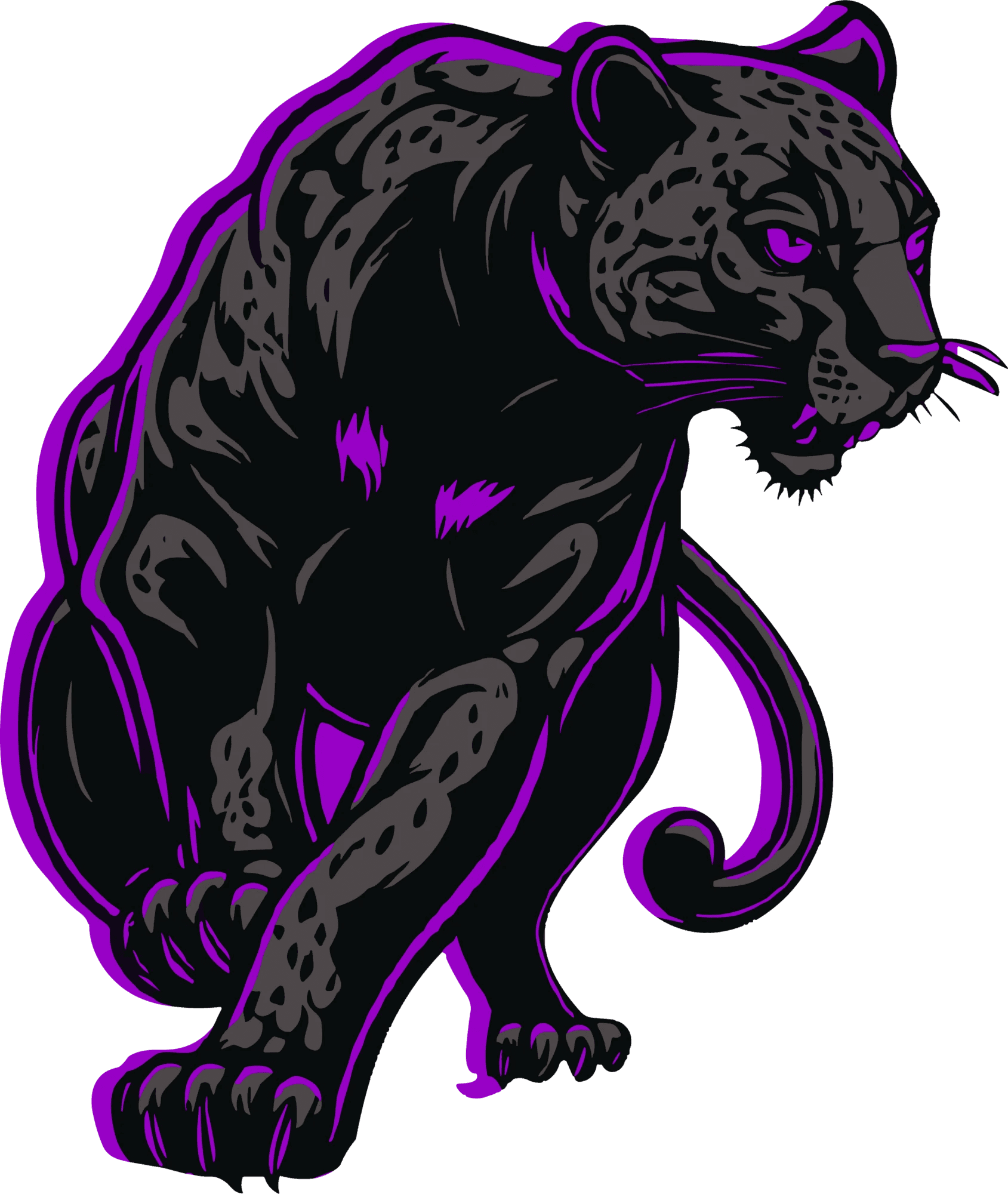 Big Money Gaming Panther